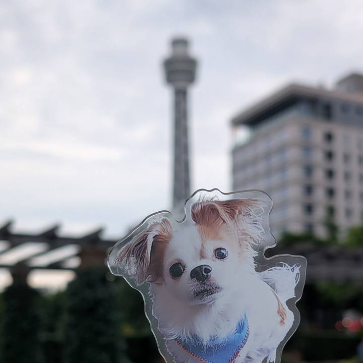 F5407267 3e46 4865 8d58 54e52e3125fd 1749352429888