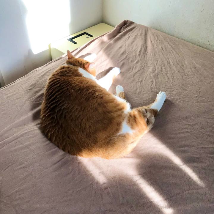 F540ad85 36c8 435e b868 6ed8f8ac98a2 1641719496350