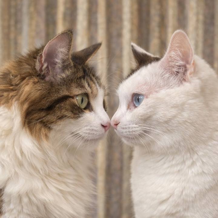 F54117a5 a2ee 4028 8514 914be1c63b46 1767756244710