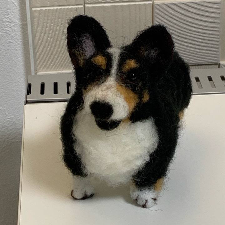 F541191a aee0 477e b4aa bf984419fc22 1551003174949