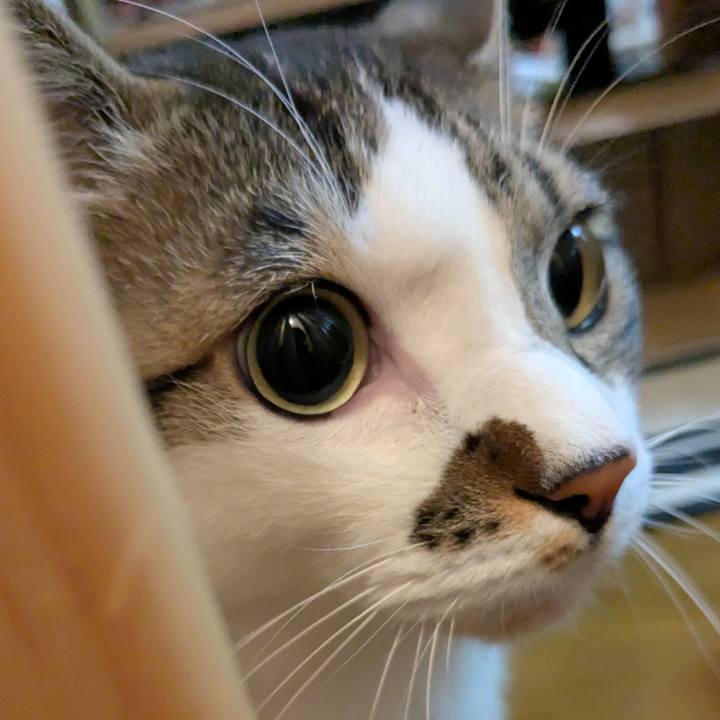 F5415ae1 6e8a 42aa b10b 1b8a1ee5223c 1737497827777