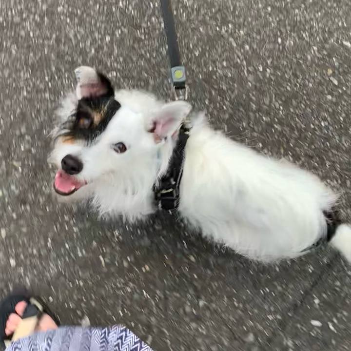 F541886f aa02 4bcf a87e fb359a00f28f 1657612416034