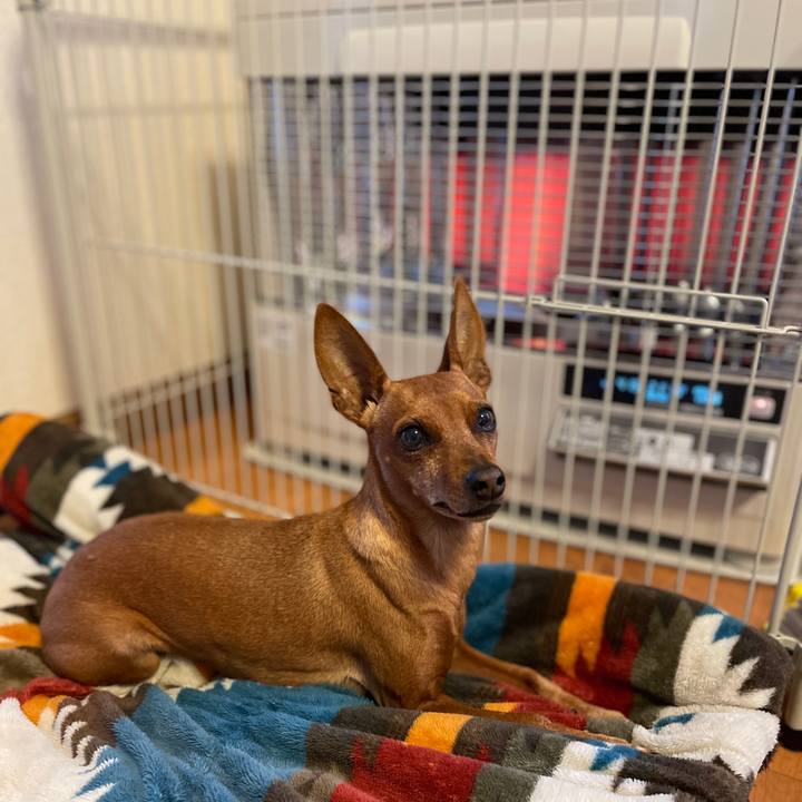 F54193e1 f148 4a2e 9c07 6de394c42529 1634554744984