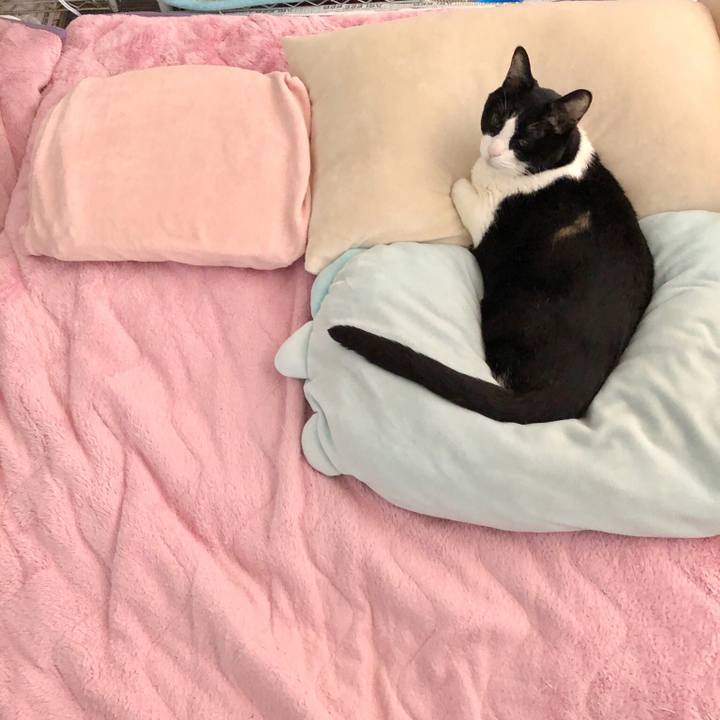 F541aef7 0947 4efd beb5 2b82c936c819 1556411132610