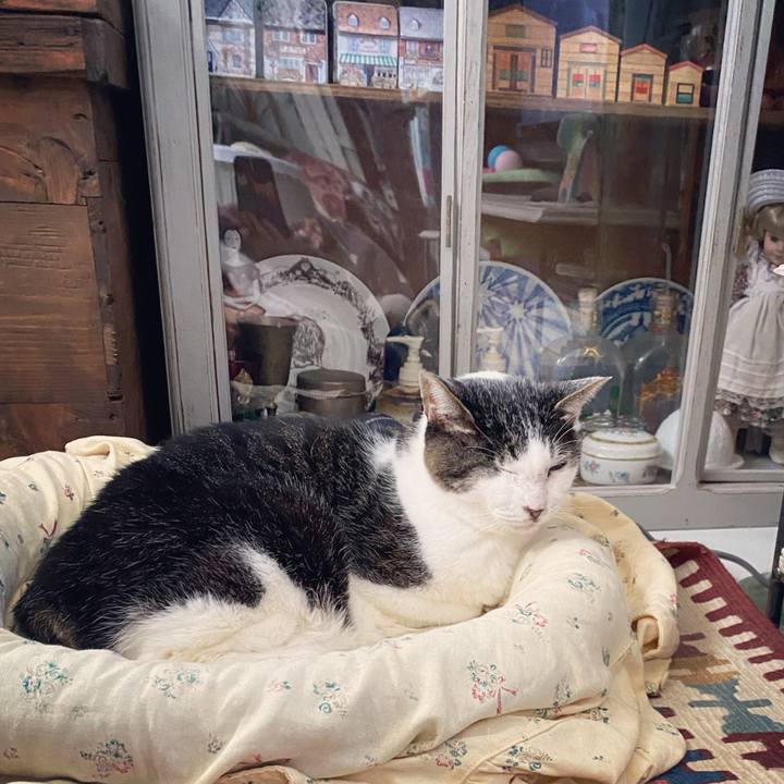 F541c366 b9f1 4301 bb7b 67a8c2b29ed5 1602916387225