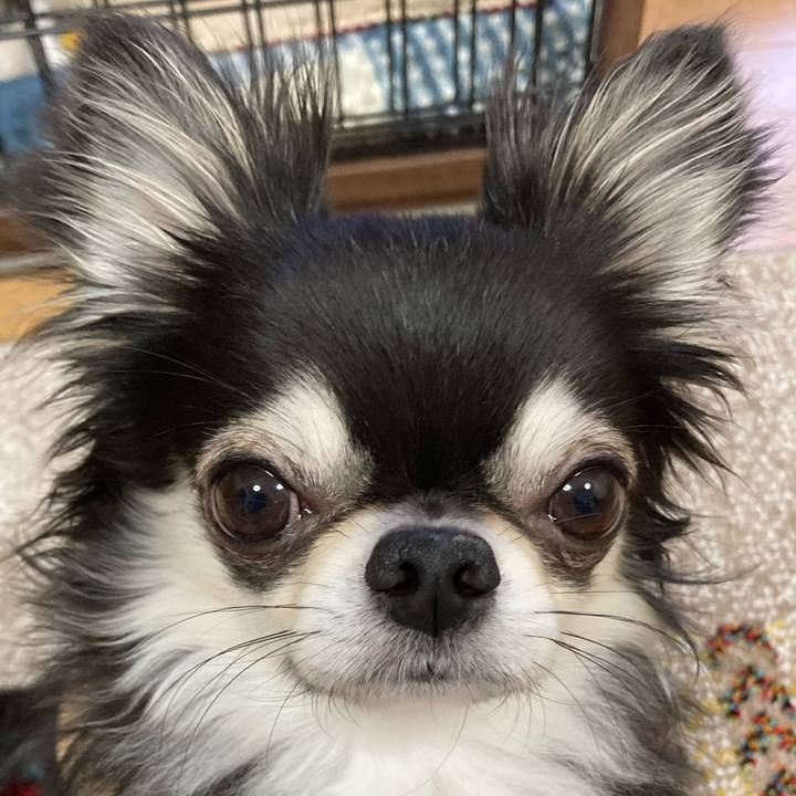 F541d263 1526 41c2 a460 1ed989c08f8f 1680998975068