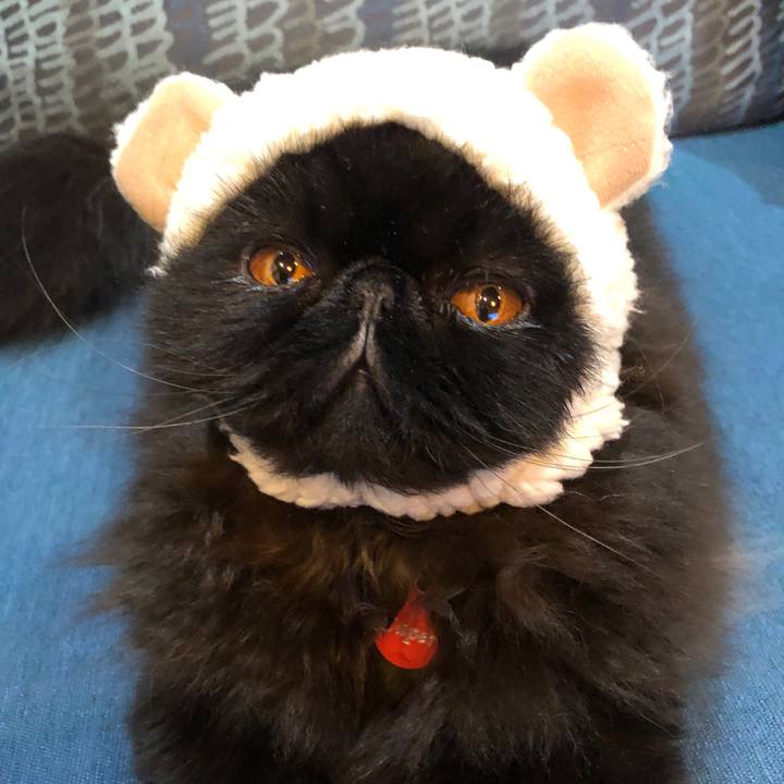 F54224e3 8f76 4220 9a0a 6d4659117a57 1538656848340