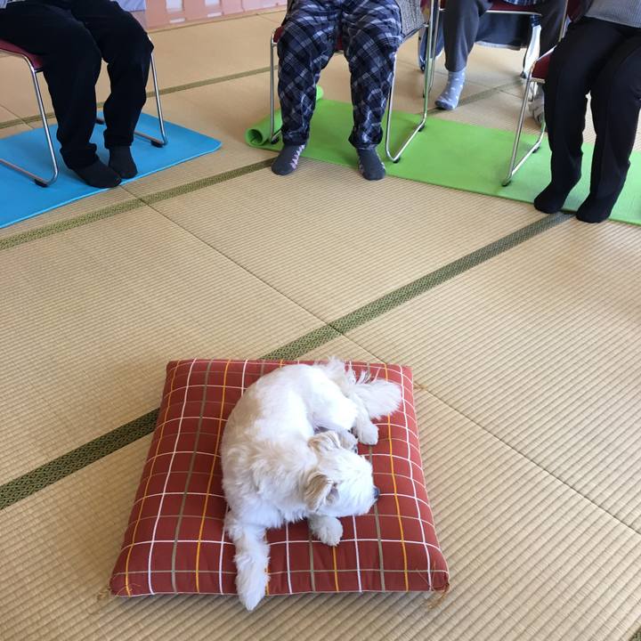 F5423044 19ce 40c7 816b a3a158baa8c4 1517800958168