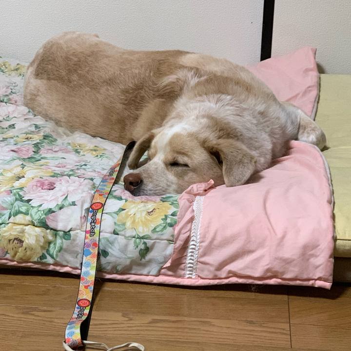 F5426ec3 5b43 46f1 9846 873e72985d06 1552054102266