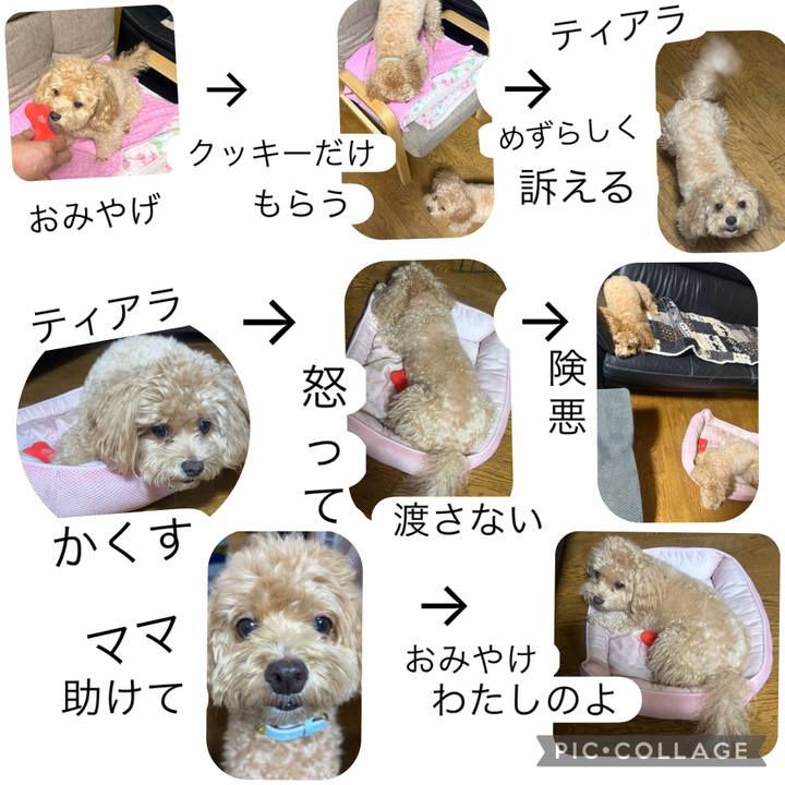 F5428e69 901e 4d2c 8b6f 7c663a057e9f 1760029191320