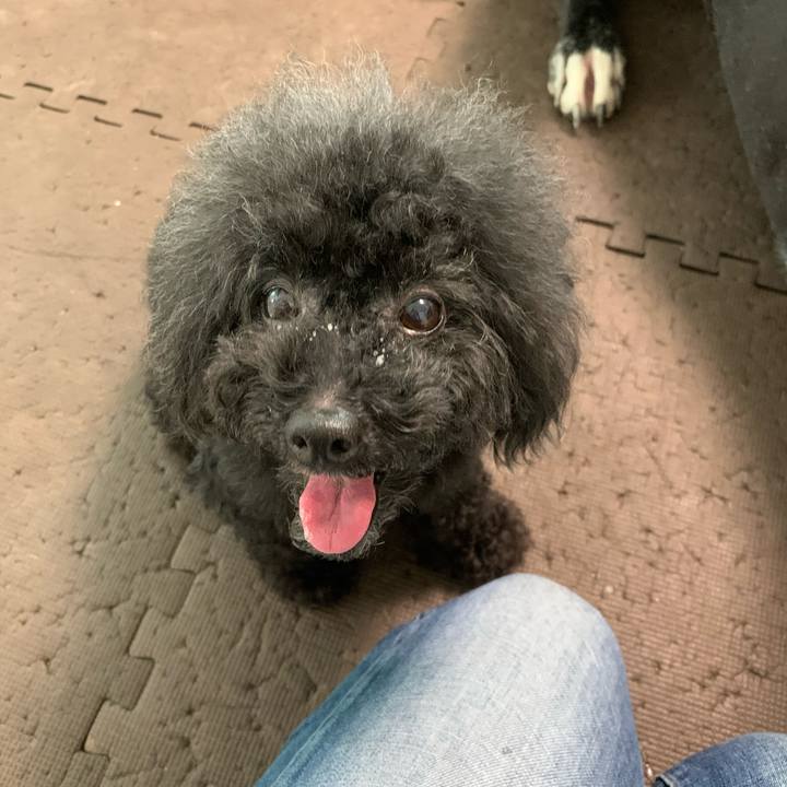 F542af43 32e9 426c 9458 12fc8f025ea6 1599778144712