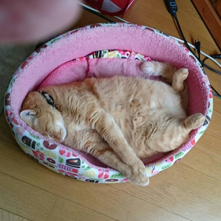 F54305df 5fb7 431c 81a9 4ac57600f99a 1541649829434