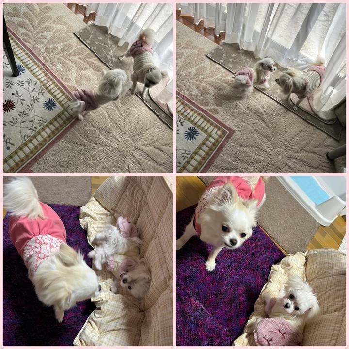 F5430b58 a097 42d1 b16c 44d4c7924e0c 1707728797287