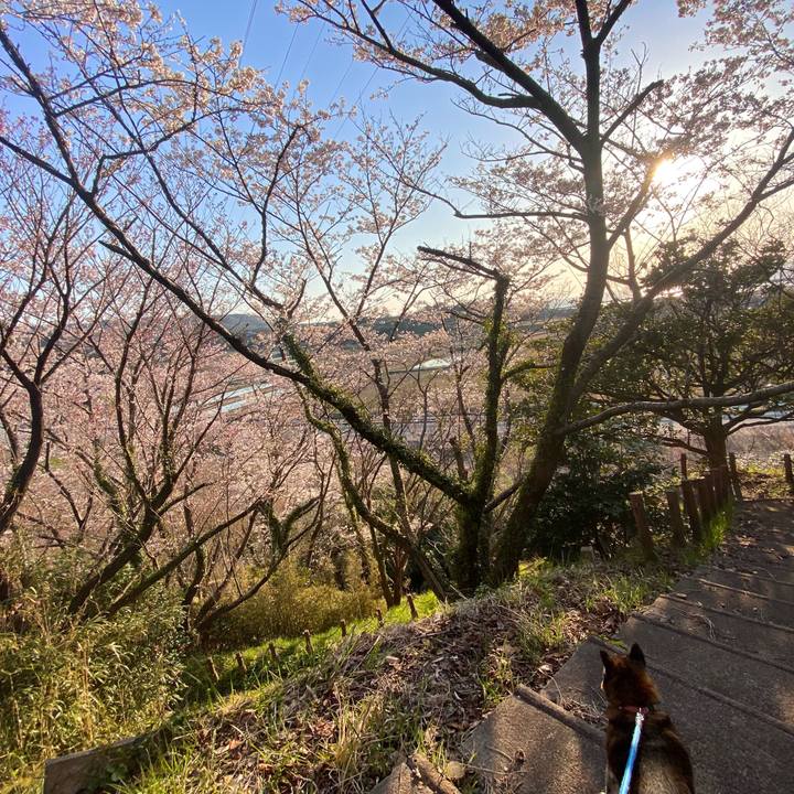 F5431053 49c8 4bb4 8dc8 66a910415b94 1680517970436