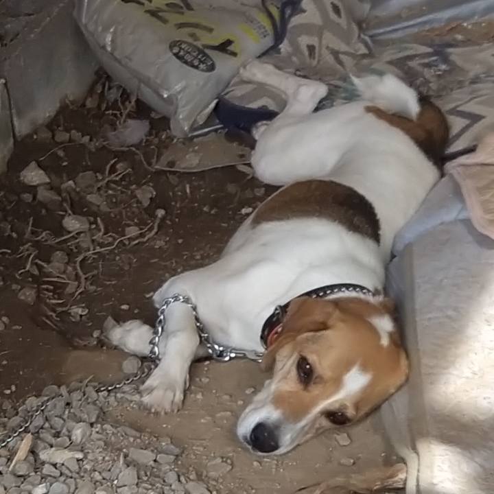 F5433e05 ae7e 4965 b91b 93ac630f0366 1637417727823