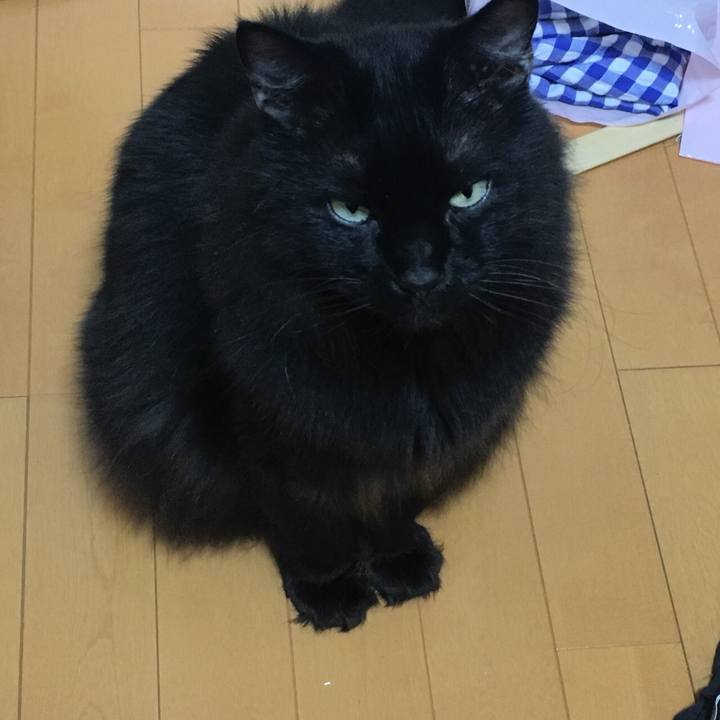 F5434aae 207d 4c0f b074 0a81b6bc4772 1563109327244