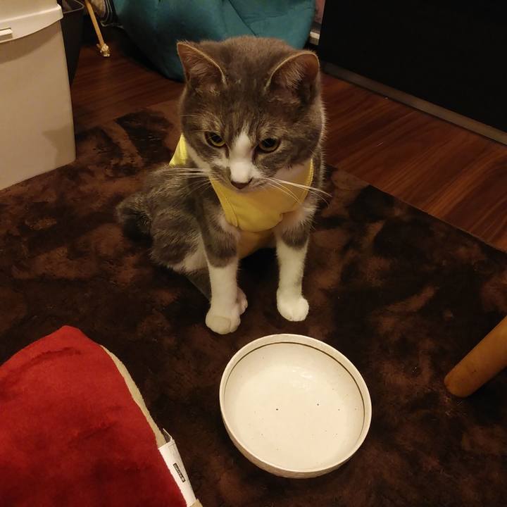 F5435104 62b3 4461 9151 c0fc30d8b0fa 1584272598891