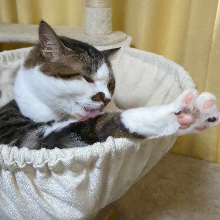 F543618d 7bfd 47ad ae4c 486482ef4e05 1726974419208