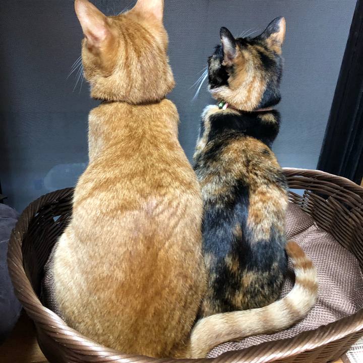 F54363e0 fea3 4e17 a821 2b55fb1f79fb 1607638410935