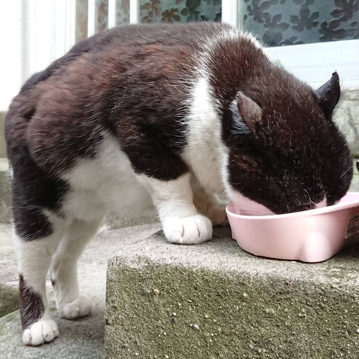 F5437979 d434 4887 b4f6 373950208cb7 1684666020194