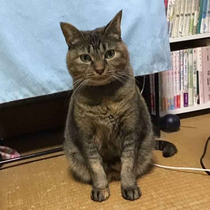 F5439d26 4321 40c5 801c 4e6be5437fd3 1729067565780