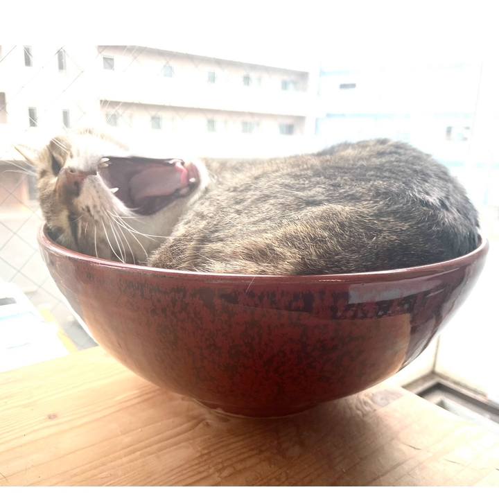 F543a659 0ffc 4b08 a2e0 ea913dd99c9b 1717112030484