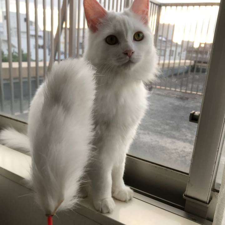 F543d37c 307a 4fa5 b9b5 d64ff94e78fc 1525429945613