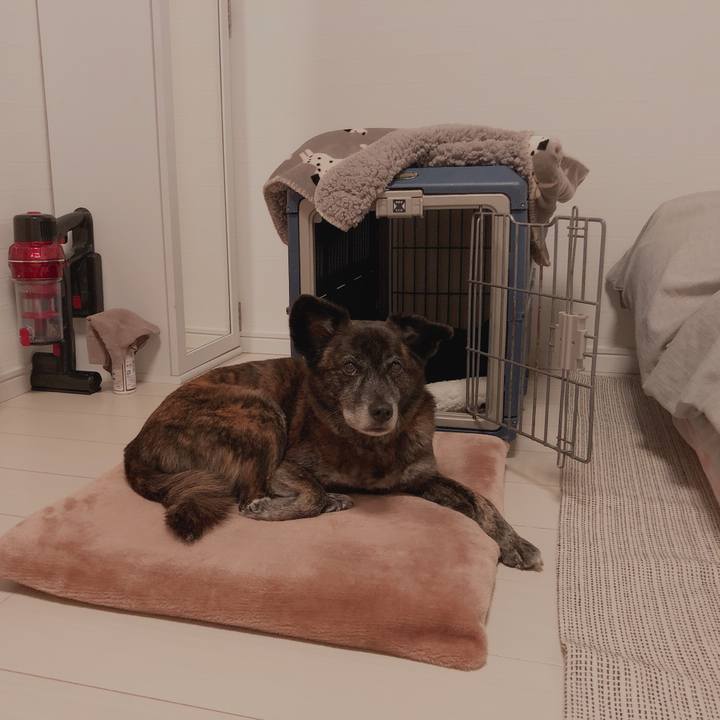 F543df06 6479 4d30 8283 7635d006b4c2 1616338533014