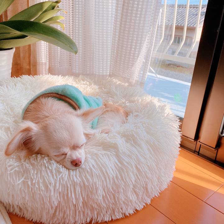 F5441244 87f3 4293 856c 772915c64d88 1640905950369