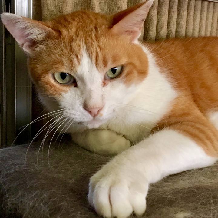 F54426e7 bb40 4bab afb0 bdf3c3fcc80e 1567576839552