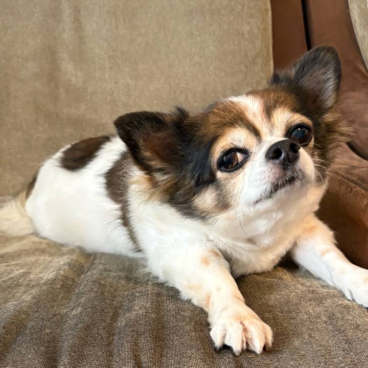 F54435f2 e4ec 407d 996f 144abdbb2ef3 1760788679688