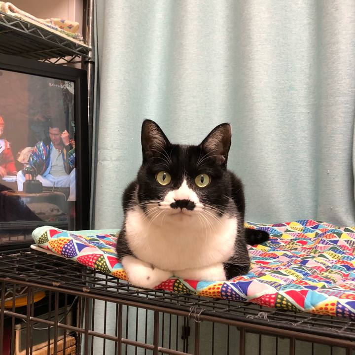 F54442ab 6ede 4613 8bcc 5bbc479607d6 1515855185439