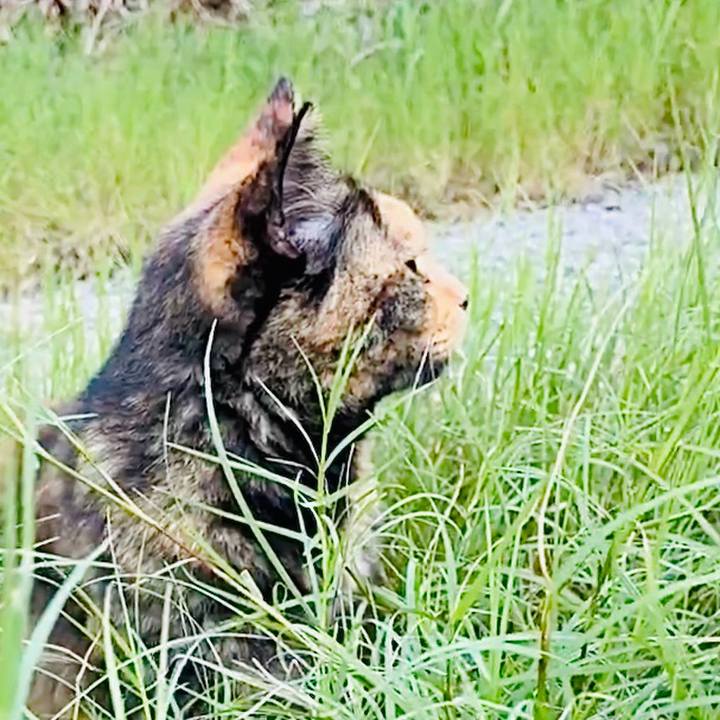 F5449789 1093 4901 a0a6 239e38a6fed4 1756884467015