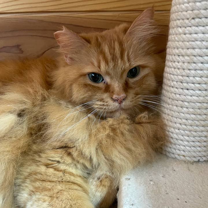 F544cb7a 0181 45ad b059 56aedbb5954e 1629583883645