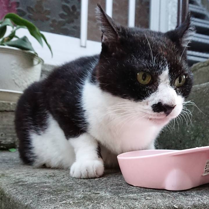 F544dc41 32c8 4f6b a281 4c65b3783e06 1692350191343