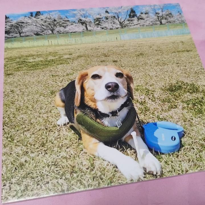 F544dcb8 fc2d 4c2c b0f1 69aa2317459e 1768043994536