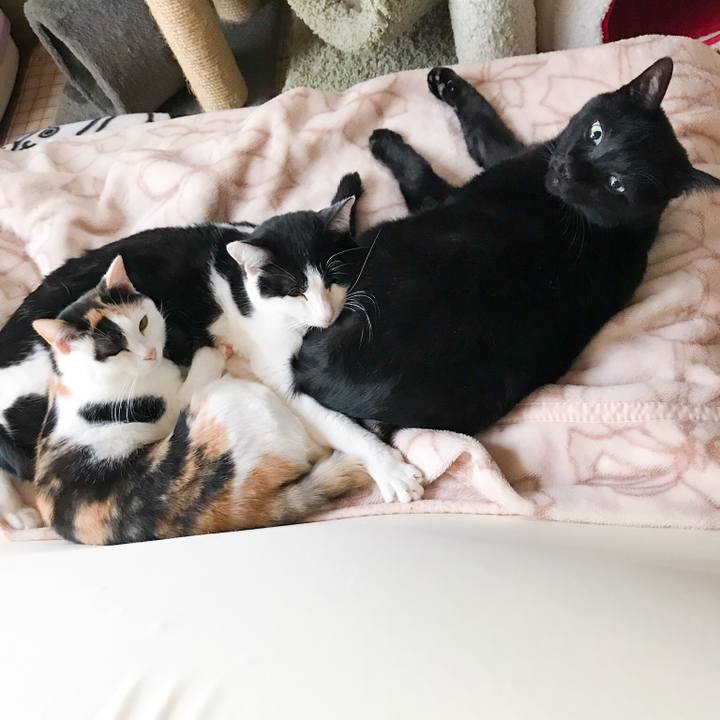 F544e247 f0f6 4ff8 a51f 4703b71ca6d0 1513300136940