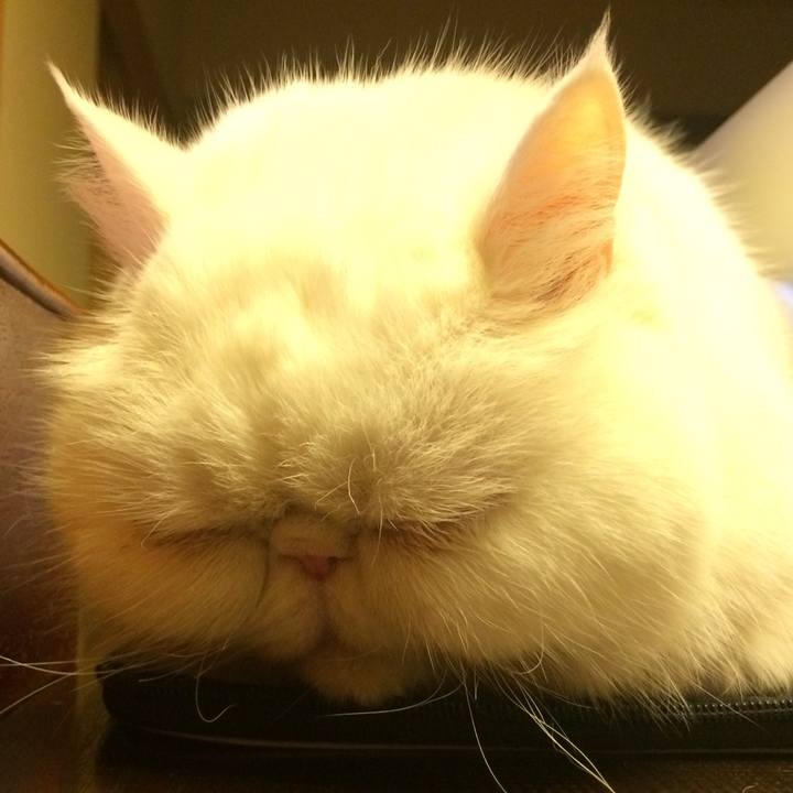 F544e34d 39c2 45f4 b2c9 f2d916e4053b 1519733838525