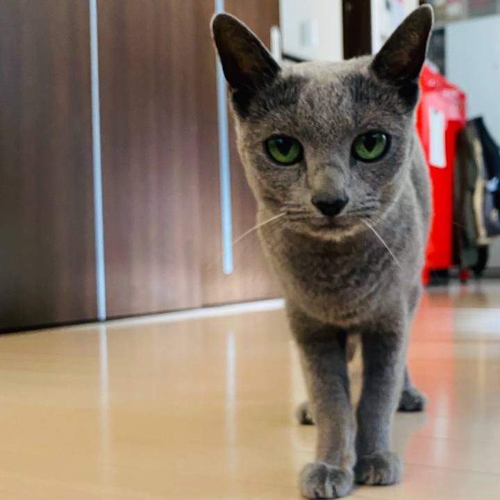 F544e5be 8f57 4f39 a8dd 816517a9acc7 1584506200241