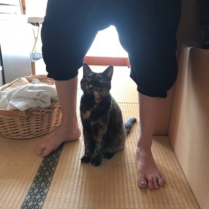 F5450a62 0f55 4ce0 b874 274b7d49d072 1599361352911