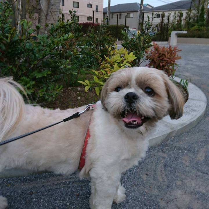 F545271a f4da 4314 b9c1 a7dcf59178bb 1556012087188