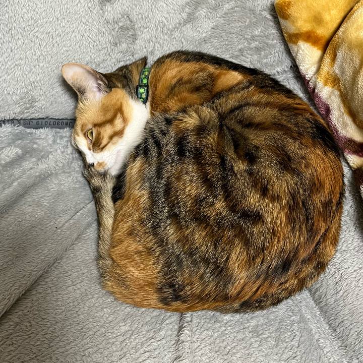 F54562e8 33f3 465b 837f bf5bdbc0e0ec 1742608062089