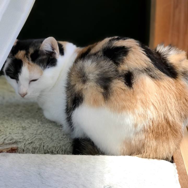 F5458882 26eb 428c 9d1f e367f99425e5 1536541356444