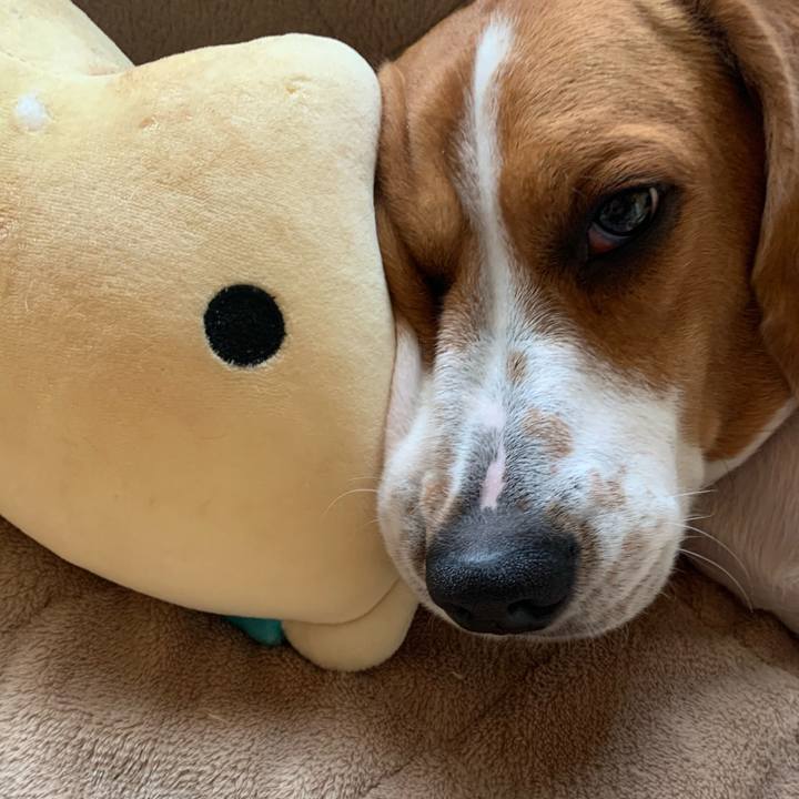 F545e096 65df 4aa9 b4a4 1e15378bb427 1583312680049