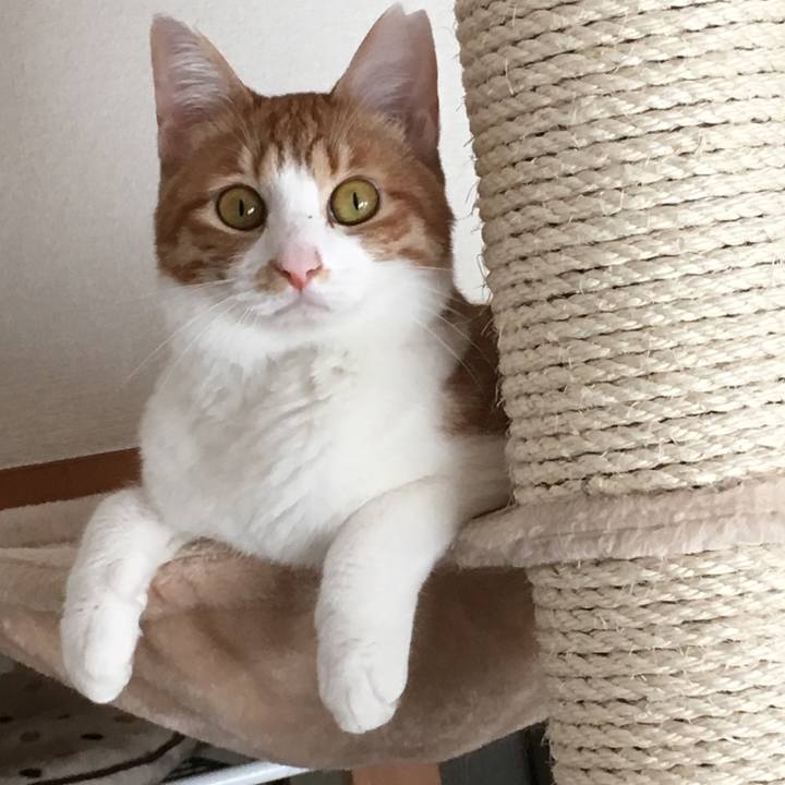 F546016a 1e83 4025 b017 d0ca6b0b6657 1509941704972