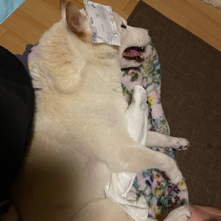 F546280b 454f 4aab 9f33 4cc126f13b01 1665777811163