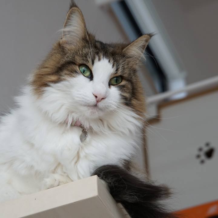 F5465918 348b 4f71 817d 5771fae6eedf 1544429065609