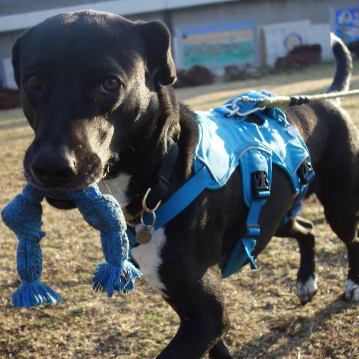 F5465d76 cf93 44dc a295 7ed6bf804f7c 1613953899367