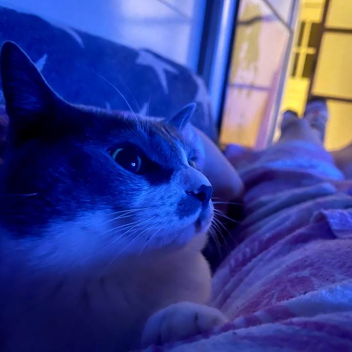 F5466daa 391a 435a 8bc1 53394b837e8d 1650121145509