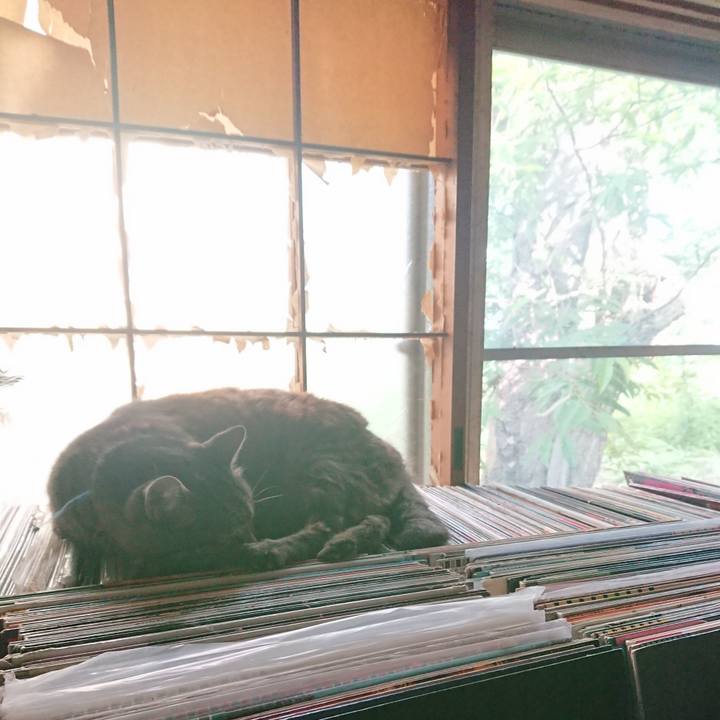 F546c63e 88eb 4ee0 b222 32a7c7e449b4 1656803151794